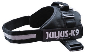 harnais_julius