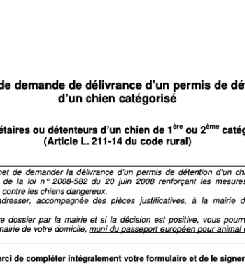 Le permis de détention d’un am staff