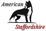 American Staffordshire